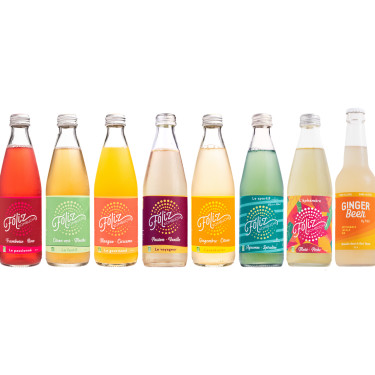 Foliz Kombucha Bio 33cl 2