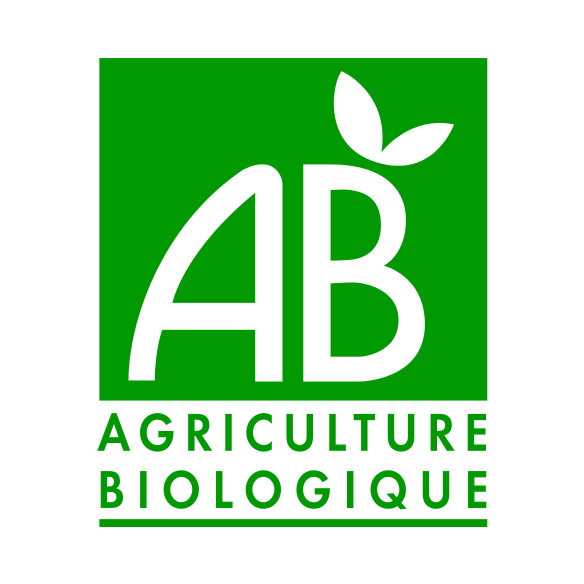 Foliz Kombucha Bio 75cl