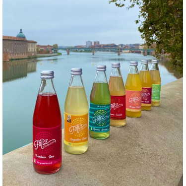 Foliz Kombucha Bio 75cl 2