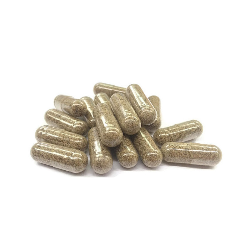 Gélules THCV Fungo – Energie