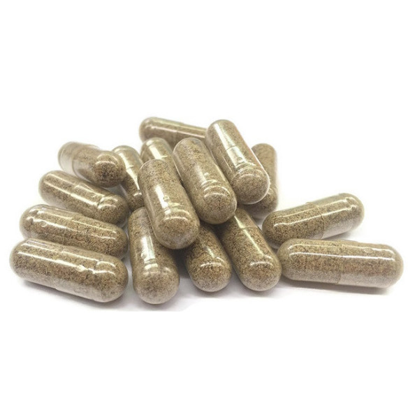 Gélules THCV Fungo – Energie