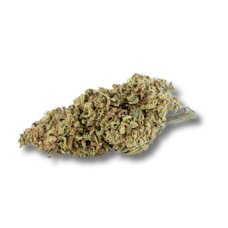 Kush Mint CBD | Shop d'achat de fleurs CBD Bio à Tououse | Taverne CBD