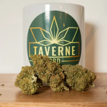 Amnesia Haze 2.0 CBD – Fleur Super Premium Hydroponique