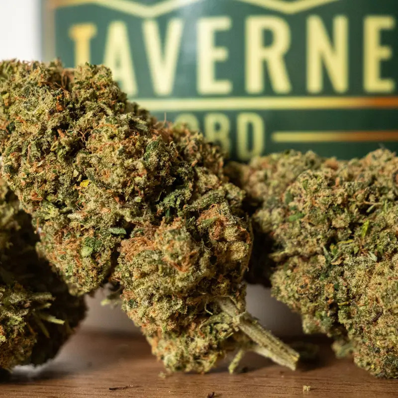 Amnesia Haze 2.0 CBD – Fleur Super Premium Hydroponique