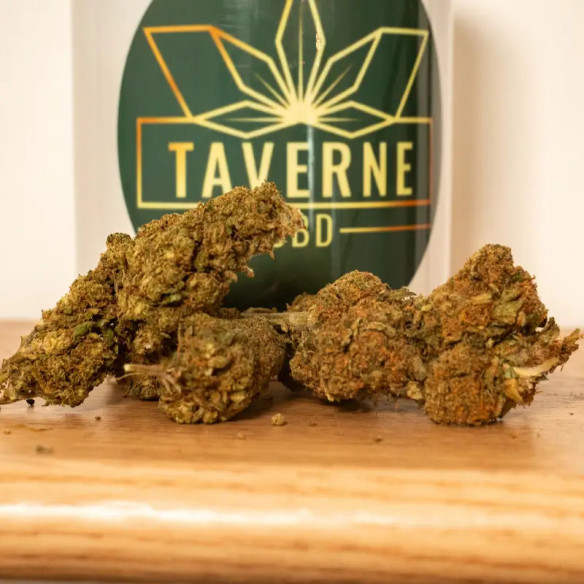 Sour Lemonade CBD – Fleur premium acidulée & fruitée | Taverne CBD