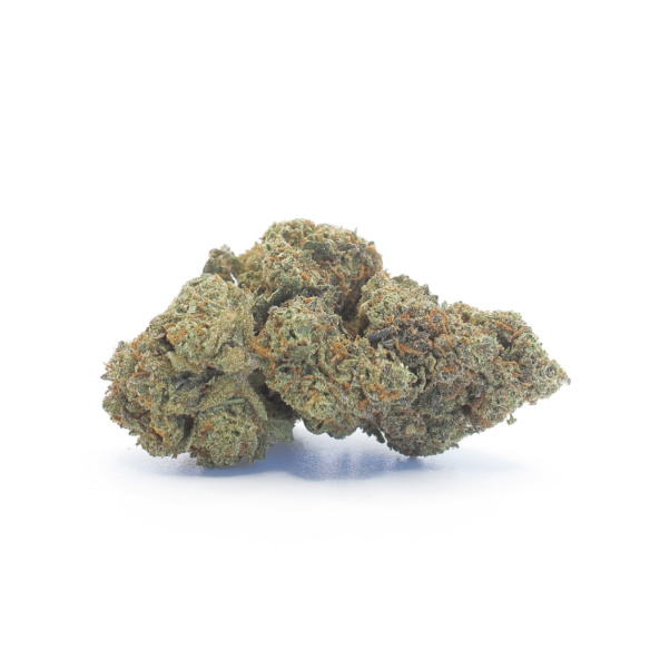 Gelato CBD Small Bud – Fleur pas chère & relaxante | Taverne CBD Gelato CBD Small Bud – Fleur pas chère & relaxante | Taverne CBD