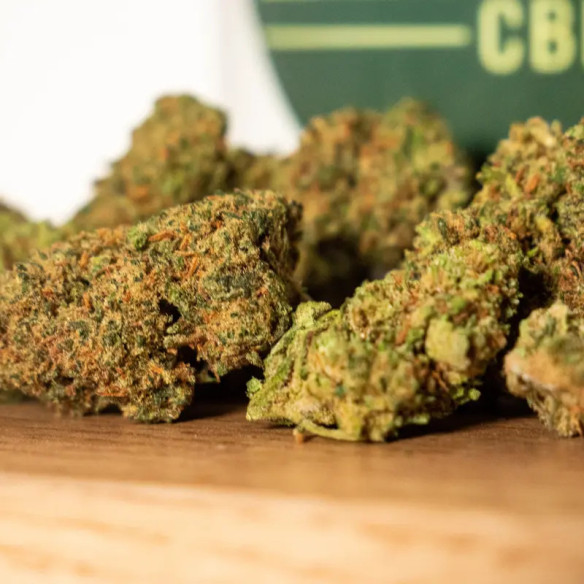 AK-47 HE+ CBD – Fleur High Effect Plus intense | Taverne CBD