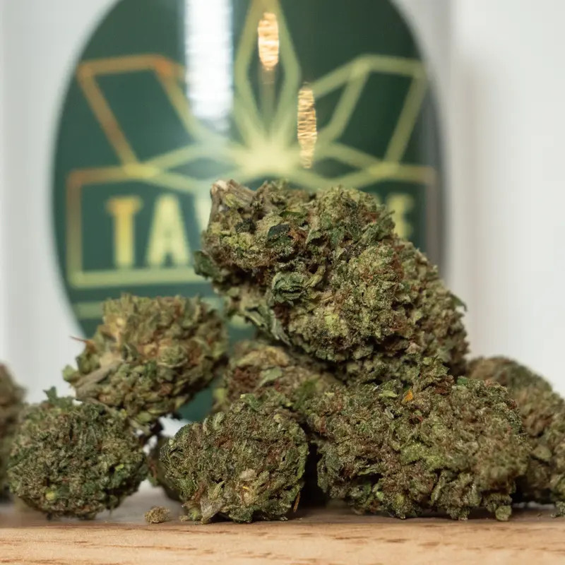 Chemdawg HE+ CBD – Fleur High Effect Plus au caractère brut | Taverne CBD