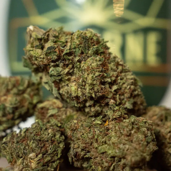 Chemdawg HE+ CBD – Fleur High Effect Plus au caractère brut | Taverne CBD