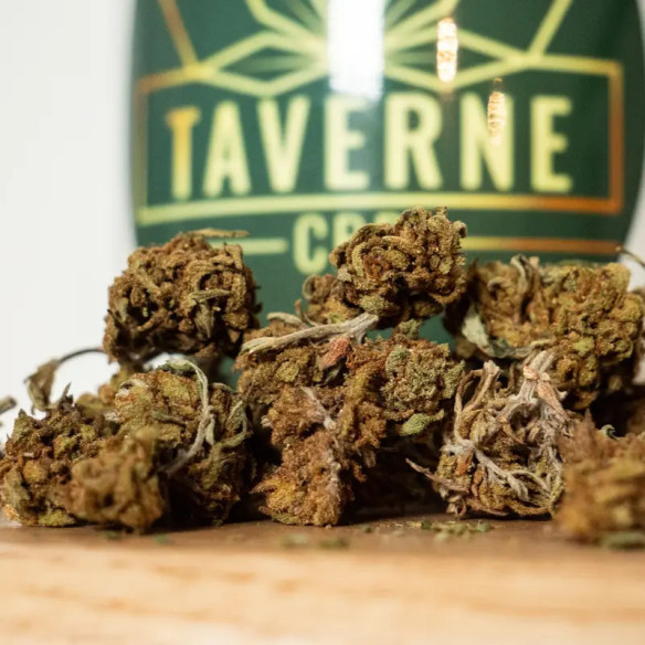 Diesel CBD Eco Buds – Fleur CBD pas chère | Taverne CBD