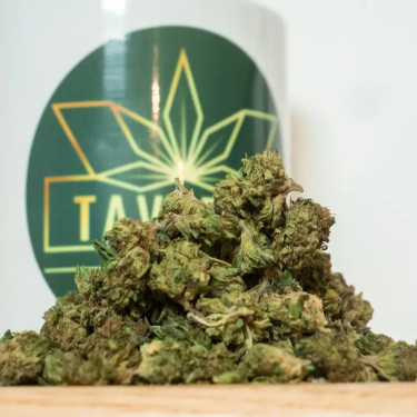 Green Crack HE+ Small Bud – Fleur CBD High suisse | Taverne CBD