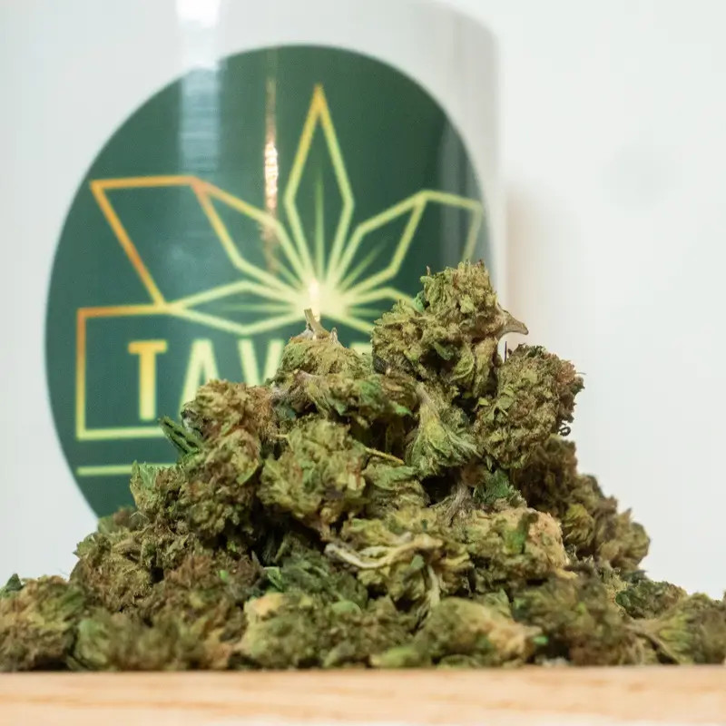 Green Crack HE+ Small Bud – Fleur CBD High suisse | Taverne CBD