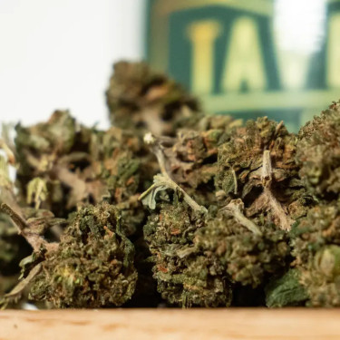 Snow White Eco Buds CBD | Fleur CBD Économique Italienne – Taverne CBD 2