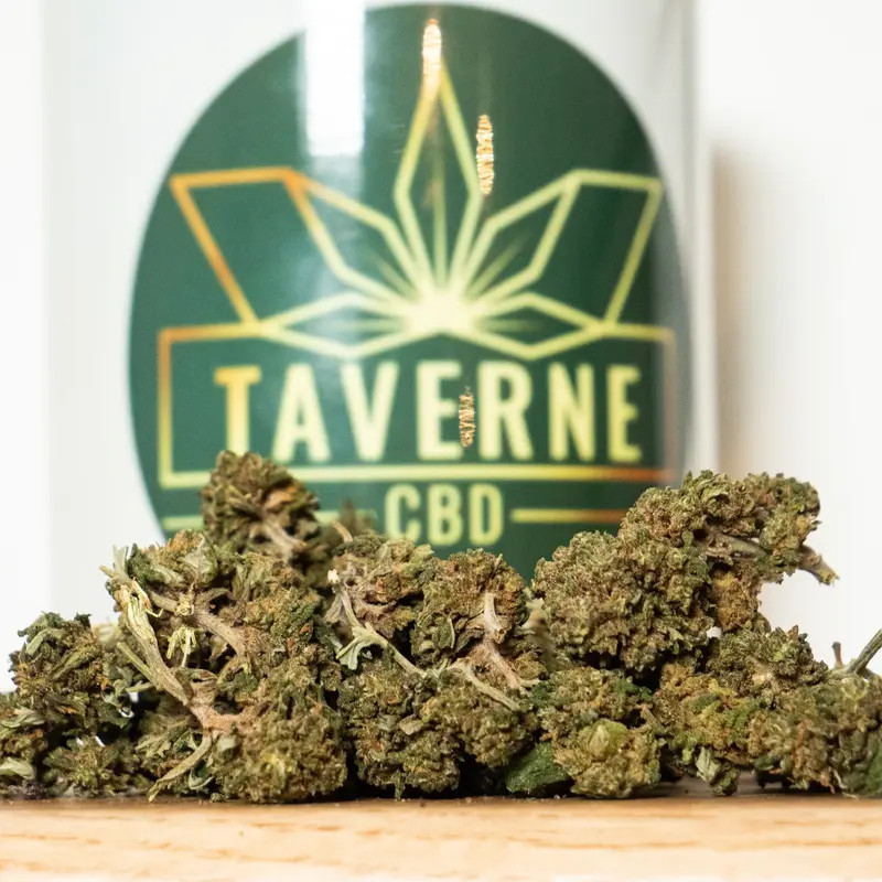 Snow White Eco Buds CBD | Fleur CBD Économique Italienne – Taverne CBD