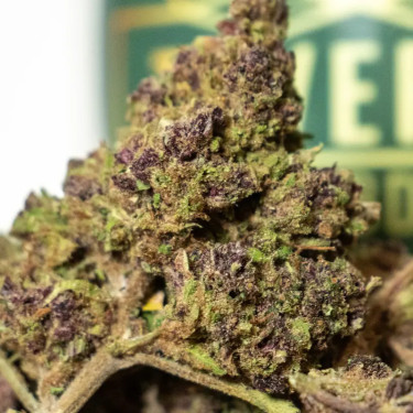 Purple CBD Premium | Fleur CBD Italienne Haut de Gamme – Taverne CBD 2