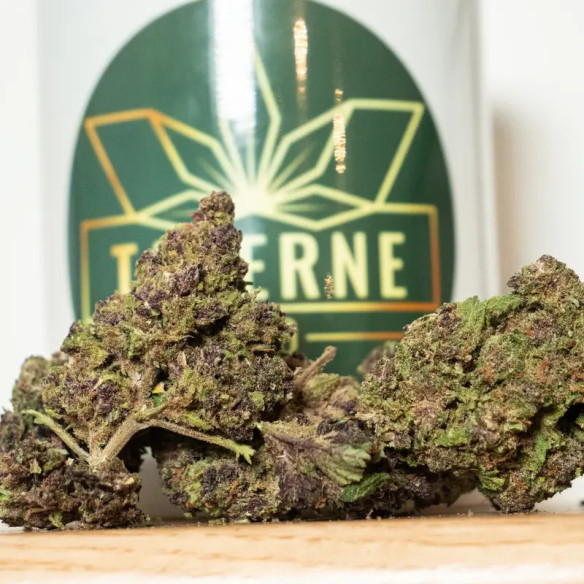 Purple CBD Premium | Fleur CBD Italienne Haut de Gamme – Taverne CBD