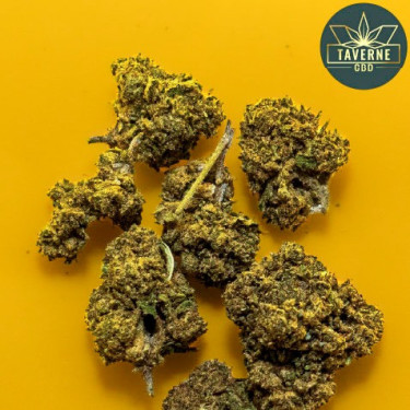 Le fleur de CBD Nothern Light small Bud