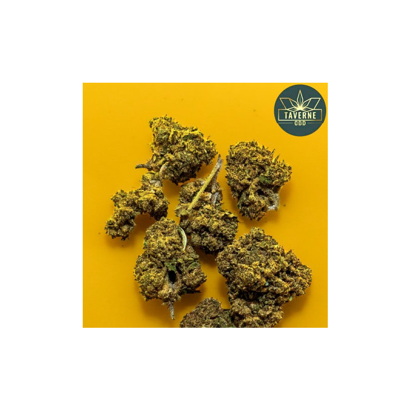 Le fleur de CBD Nothern Light small Bud