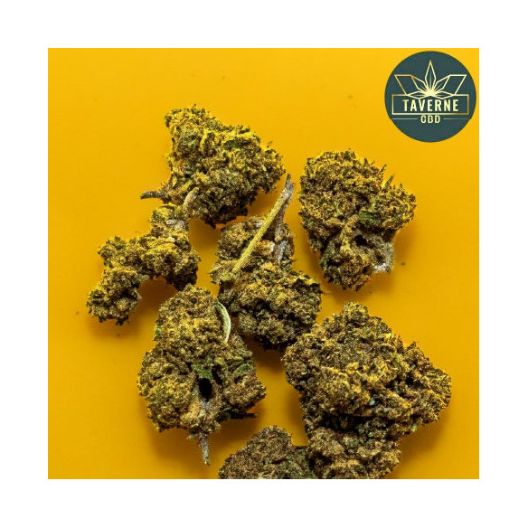 Le fleur de CBD Nothern Light small Bud