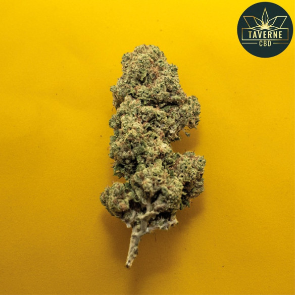 La fleur de  CBD premium Biscotti.