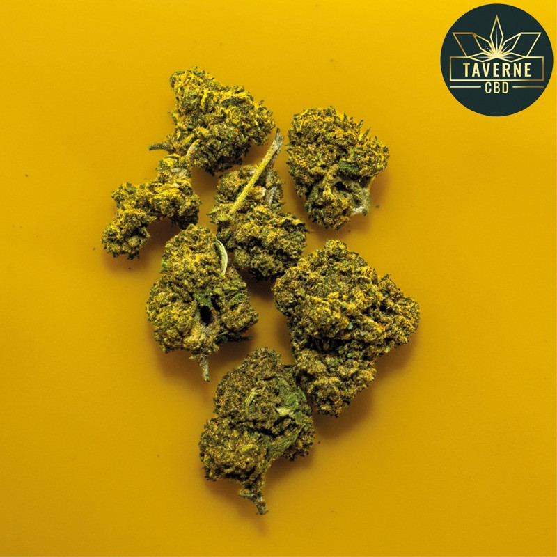 Pineapple CBD Small Bud – La fraîcheur tropicale cultivée en France | Taverne CBD