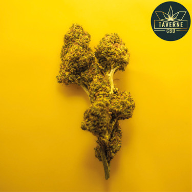 La fleur de CBD HCE Royal Cheese
