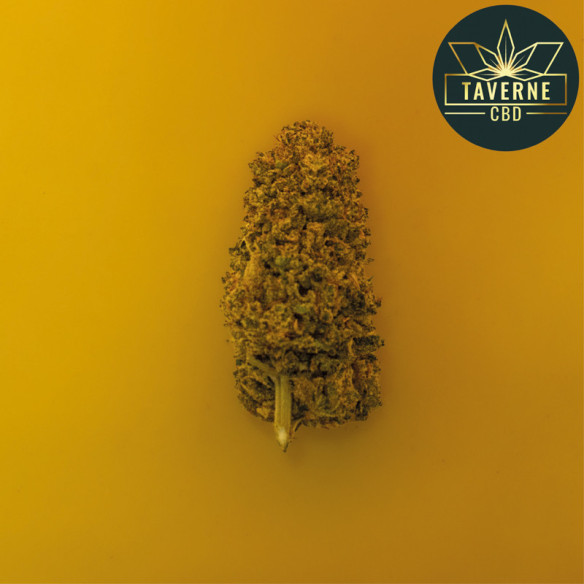 Strawberry Payton CBD Super Premium – La fraise selon High Alpine Genetics | Taverne CBD