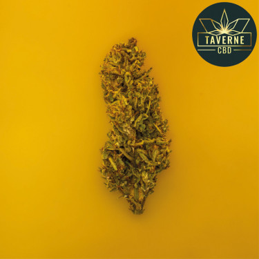 La fleur de CBD premium Burnout