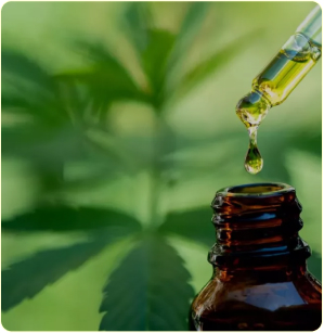 Huile CBD