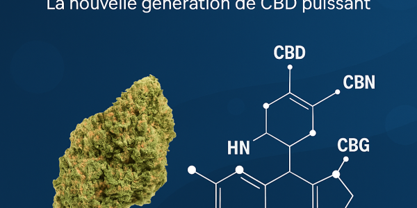 🌿 CBD High Effect : qu’est-ce que c’est et pourquoi est-il plus puissant ?