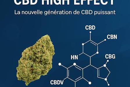 CBD puissant en 2026 : comment choisir et ne pas se tromper