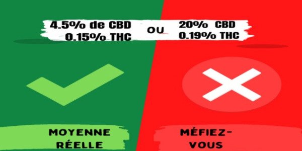 Taux de CBD & THC : Découvrez la vérité