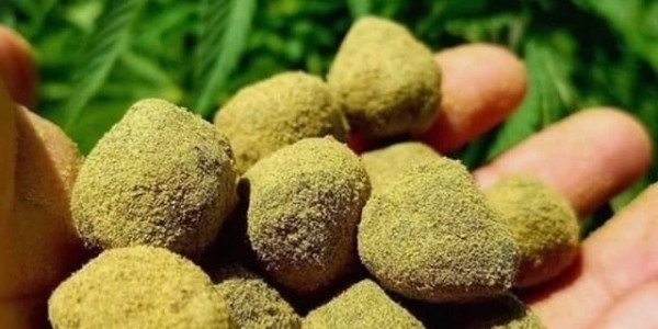 La Moon Rocks, une fleur CBD aux saveurs cosmiques et aux pouvoirs exceptionnels