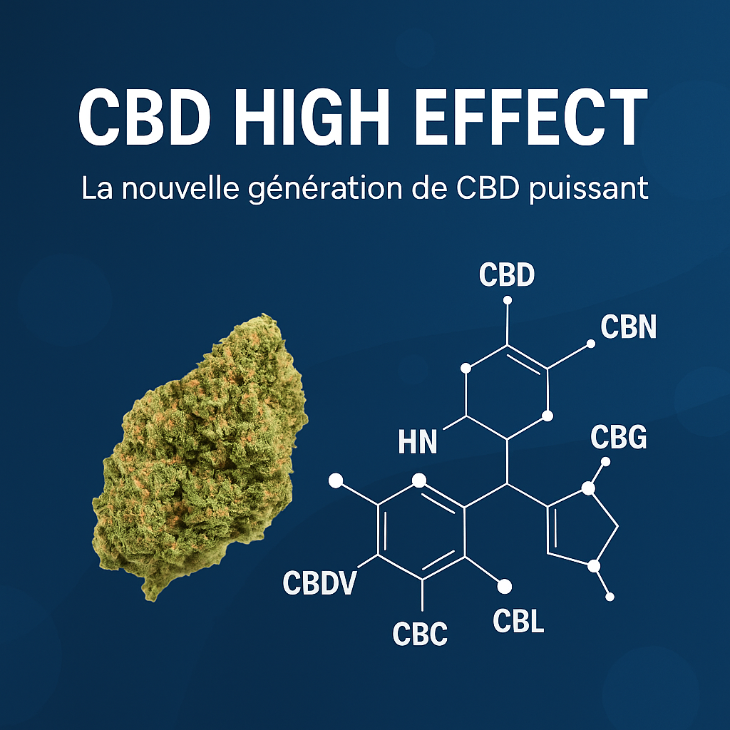 đż CBD High Effect : quâest-ce que câest et pourquoi est-il plus puissant ?