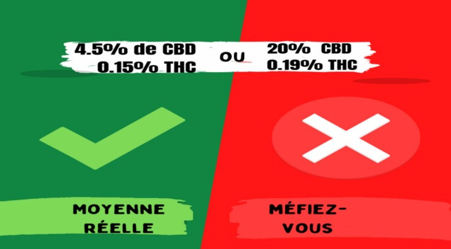 Taux de CBD & THC : Découvrez la vérité