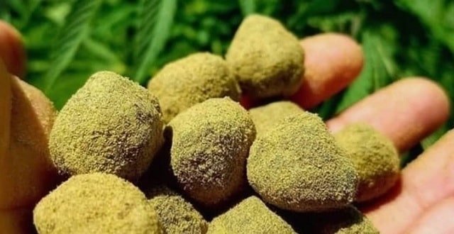 La Moon Rocks, une fleur CBD aux saveurs cosmiques et aux pouvoirs exceptionnels